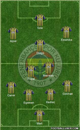 Fenerbahçe SK Formation 2014