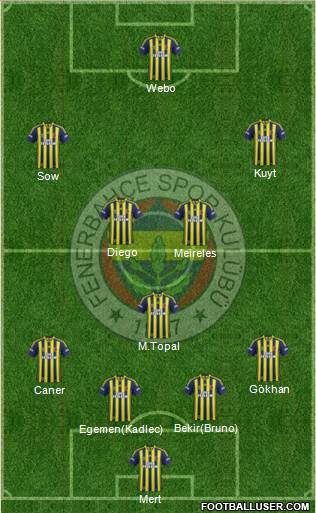 Fenerbahçe SK Formation 2014