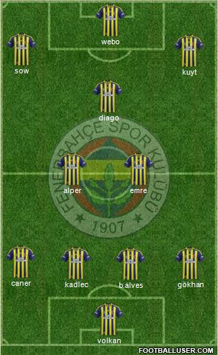 Fenerbahçe SK Formation 2014