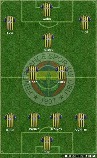 Fenerbahçe SK Formation 2014