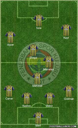 Fenerbahçe SK Formation 2014