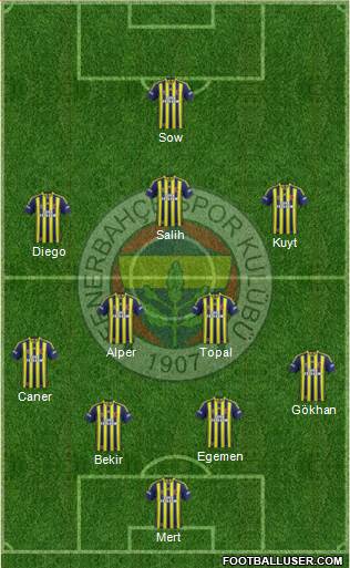 Fenerbahçe SK Formation 2014