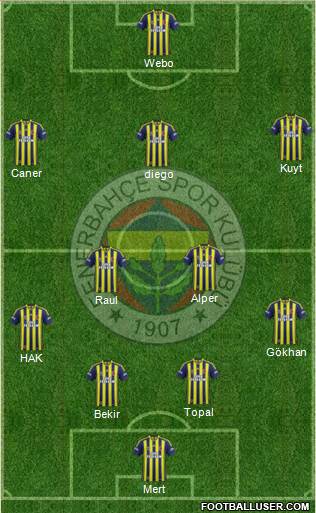 Fenerbahçe SK Formation 2014