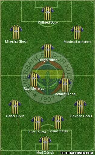 Fenerbahçe SK Formation 2014