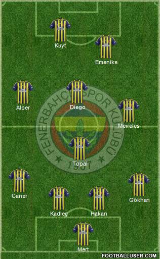 Fenerbahçe SK Formation 2014