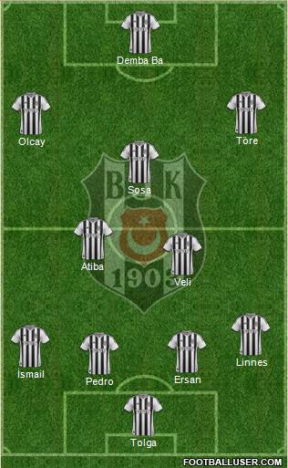 Besiktas JK Formation 2014