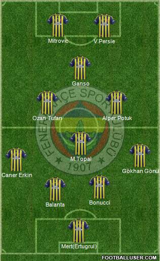 Fenerbahçe SK Formation 2014