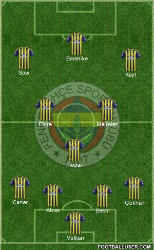 Fenerbahçe SK Formation 2014