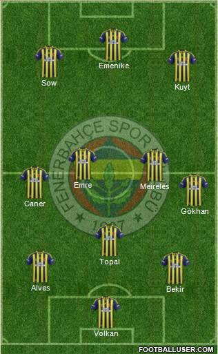 Fenerbahçe SK Formation 2014