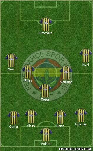 Fenerbahçe SK Formation 2014
