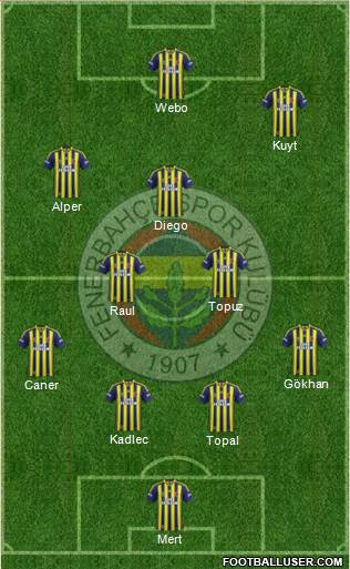 Fenerbahçe SK Formation 2014