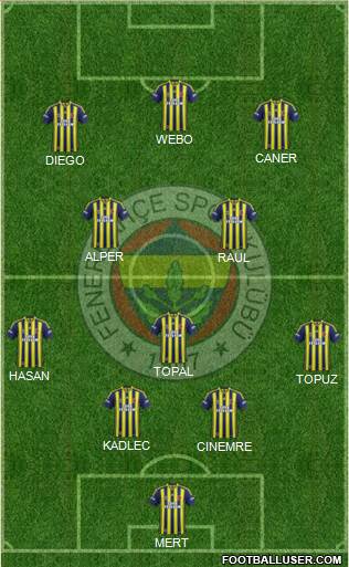 Fenerbahçe SK Formation 2014