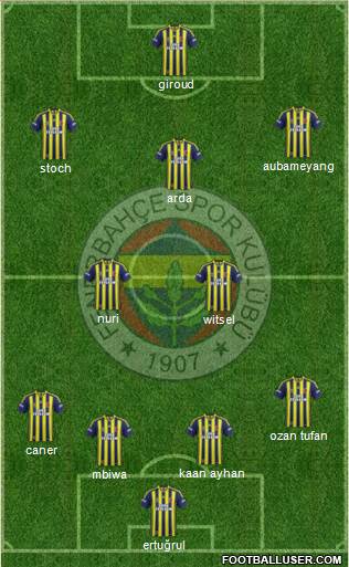 Fenerbahçe SK Formation 2014