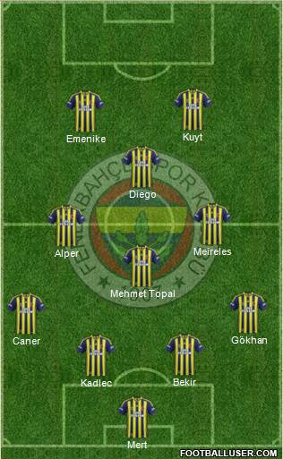 Fenerbahçe SK Formation 2014