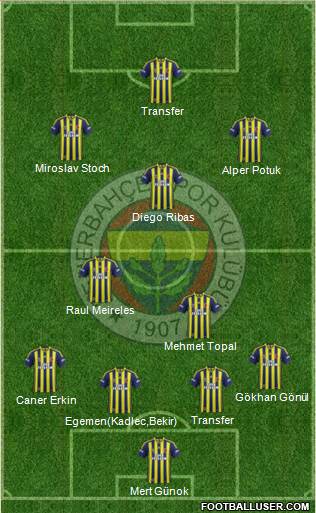 Fenerbahçe SK Formation 2014