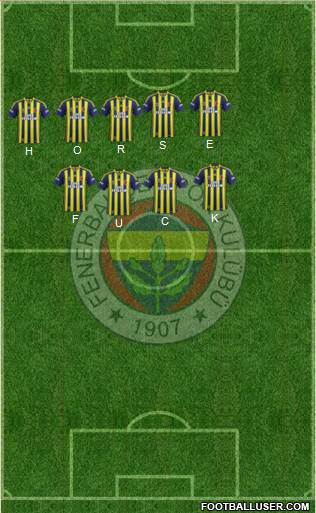 Fenerbahçe SK Formation 2014