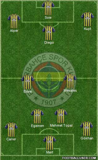Fenerbahçe SK Formation 2014