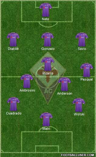 Fiorentina Formation 2014