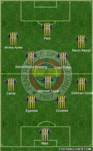 Fenerbahçe SK Formation 2014
