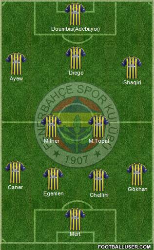 Fenerbahçe SK Formation 2014