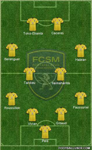 FC Sochaux-Montbéliard Formation 2014