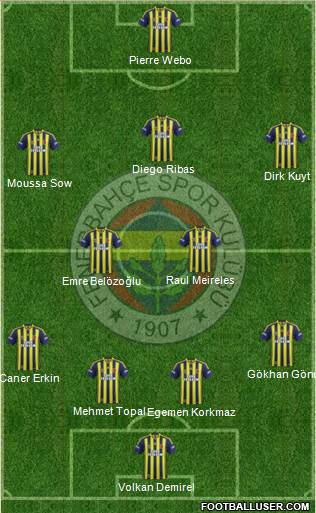 Fenerbahçe SK Formation 2014