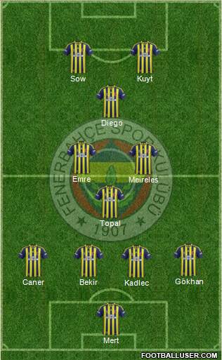 Fenerbahçe SK Formation 2014
