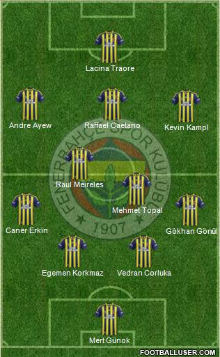 Fenerbahçe SK Formation 2014