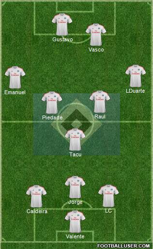 Hamburger SV Formation 2014