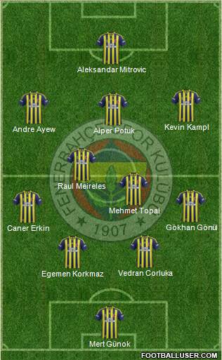 Fenerbahçe SK Formation 2014