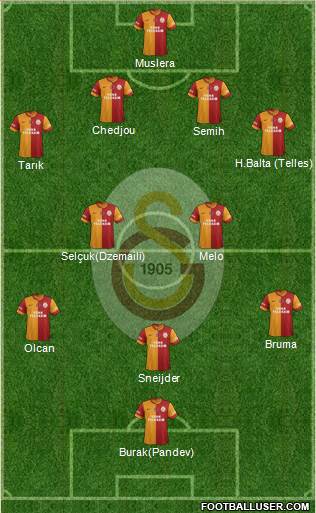 Galatasaray SK Formation 2014