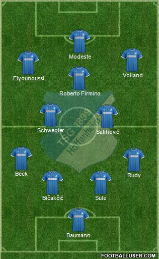 TSG 1899 Hoffenheim Formation 2014