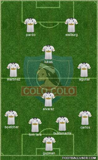 CSD Colo Colo Formation 2014