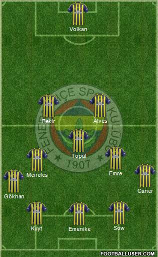 Fenerbahçe SK Formation 2014