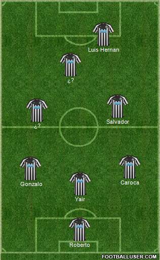 Newcastle United Formation 2014