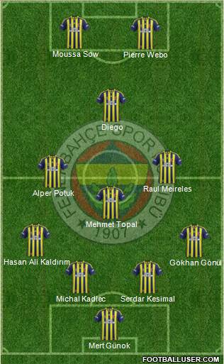 Fenerbahçe SK Formation 2014