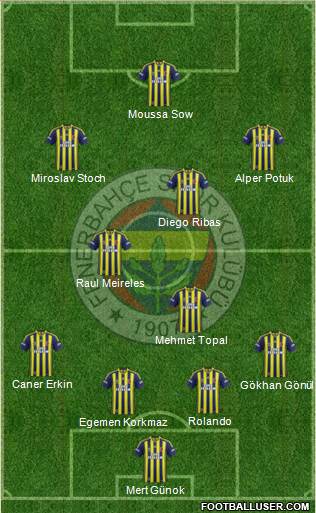 Fenerbahçe SK Formation 2014
