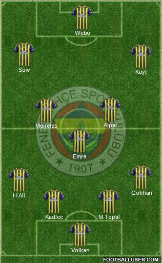 Fenerbahçe SK Formation 2014