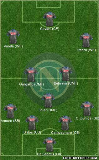 Napoli Formation 2014