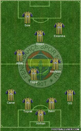 Fenerbahçe SK Formation 2014