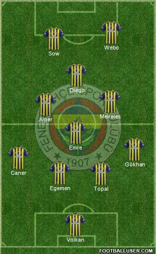 Fenerbahçe SK Formation 2014