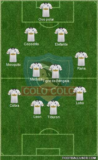 CSD Colo Colo Formation 2014