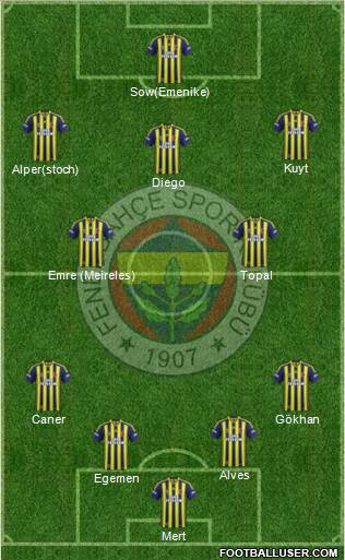 Fenerbahçe SK Formation 2014