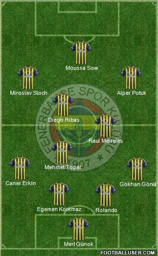 Fenerbahçe SK Formation 2014