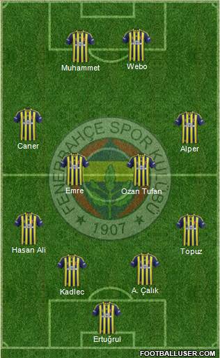 Fenerbahçe SK Formation 2014