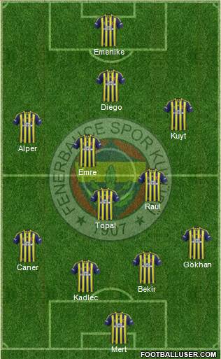 Fenerbahçe SK Formation 2014