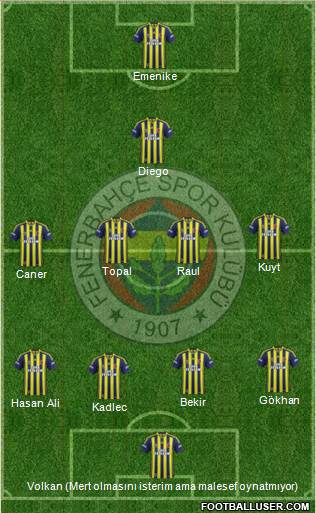 Fenerbahçe SK Formation 2014