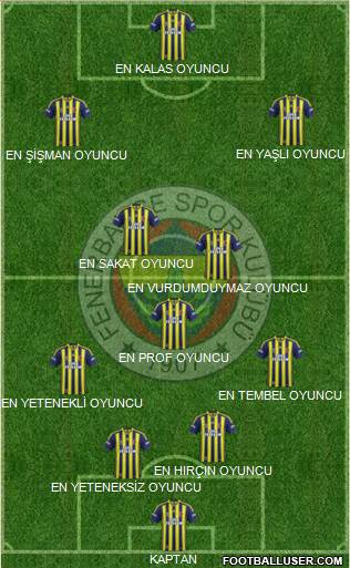 Fenerbahçe SK Formation 2014