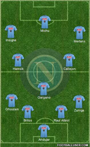 Napoli Formation 2014