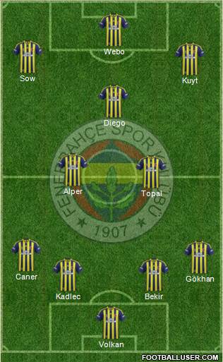 Fenerbahçe SK Formation 2014